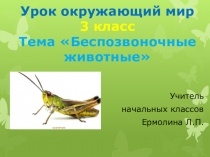 Презентация по окружающему миру 3 класс 21 век тема: Беспозвоночные животные