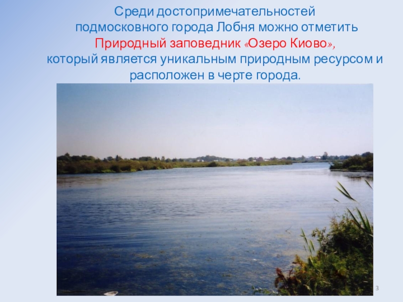 Соединяет озера 4. Озеро Киово заповедник. Презентация озеро Киово Лобня. Озеро Киево. Озеро Киево и его котловина Московская область.