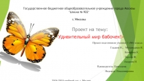 Проект Удивительный мир бабочек 1 класс