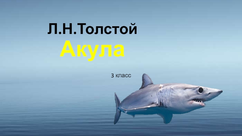 Лев николаевич толстой акула