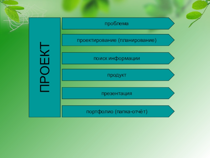 Презентация отчет по проекту