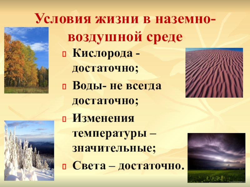 Какие условия жизни. Условия наземно-воздушной среды обитания. Условия жизни в наземно воздушной среде. Земно-воздушно среда жизни. Условия надземновоздушной среды.