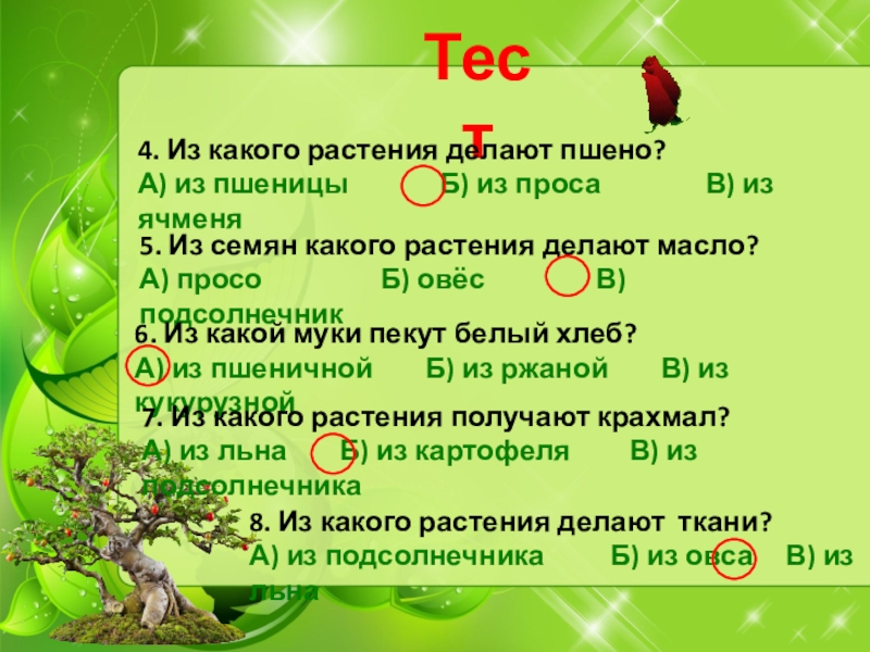 Тест растениеводство 3 класс школа россии презентация