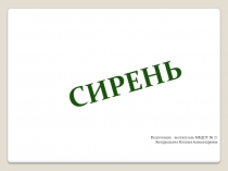 Презентация для дошкольников на тему Сирень