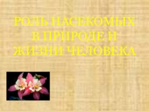 Презентация  Роль насекомы в природе и в жизни человека