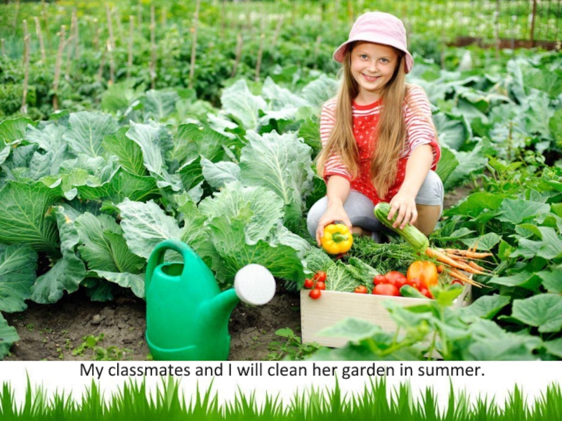My classmates and I will clean her garden in summer.