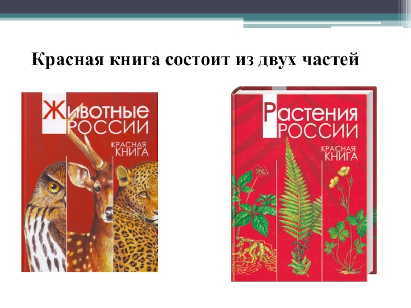 Тома красной книги. Красная книга России 2 Тома. Первые два Тома красной книги России. Томов красной книги России. Сколько томов в красной книге России.