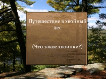 Презентация по окружающему миру на тему Что такое хвоинки (1 класс)