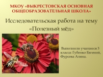 Проект по окружающему миру 3-4 класс на тему Полезный мёд