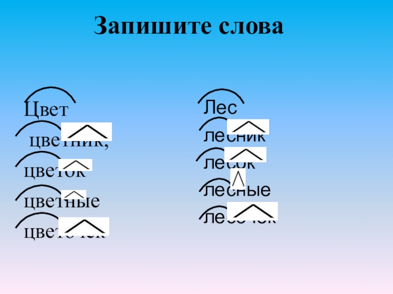 Запишите слова Цвет цветник, цветок цветные цветочекЛеслесниклесоклесные лесочек