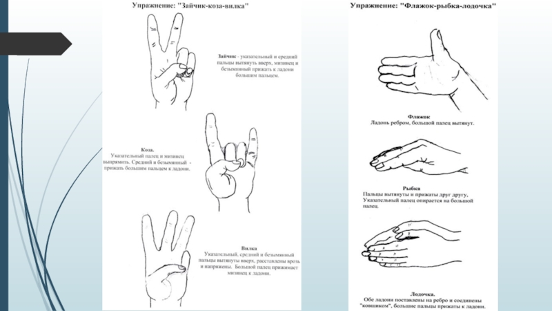 Упражнения пальцев для мозга. Пальчиковые упражнения для мозга. Кинезиологические упражнения для пальцев. Пальчиковые упражнения для стимуляции мозга. Упражнения пальцами для развития мозга.
