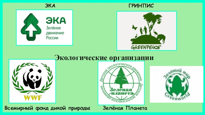 Экологические организации российской федерации