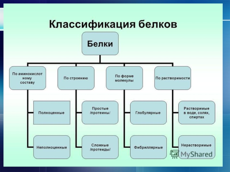 Функции структура сайта