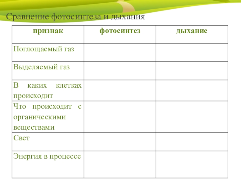 Фотосинтез и дыхание растений презентация