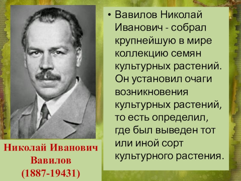 Презентация вавилов николай иванович вклад в науку