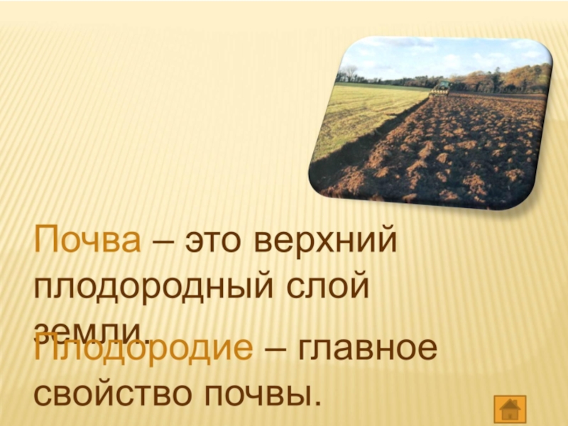 Презентация по географии на тему  Почвы. Образование почв.