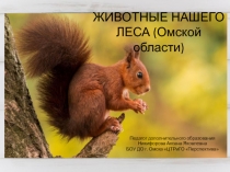 Презентация для дошкольников Животные нашего леса