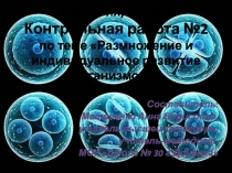 Презентация Контрольная работа №2 по теме Размножение и индивидуальное развитие организмов. Биология, 9 класс