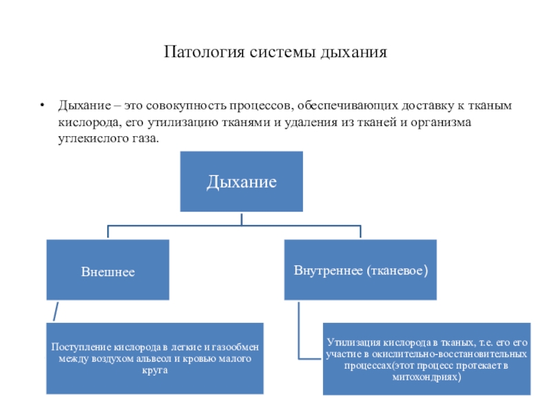 Патология дыхания. Патология системы. Патология системы дыхания. Патологическая система. Виды системы патология.