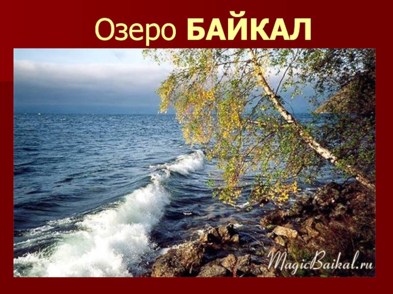 Каспийское онежское озера байкал. Береза на Байкале. Байкал в разные времена года. Байкал во все времена года. Море в Разное время года.