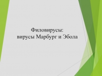 Презентация к лекции Филовирусы -Эбола и Марбург