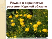Редкие и охраняемые растения Курской области