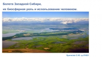 Презентация по экологии  Болота Западной Сибири. Биосферная роль и использование человеком