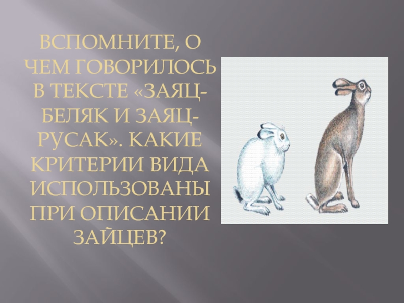 Рассмотрите рисунки двух животных разных видов одного рода сравните их заяц русак заяц беляк таблица