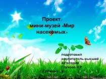 Презентация Мир насекомых средняя группа