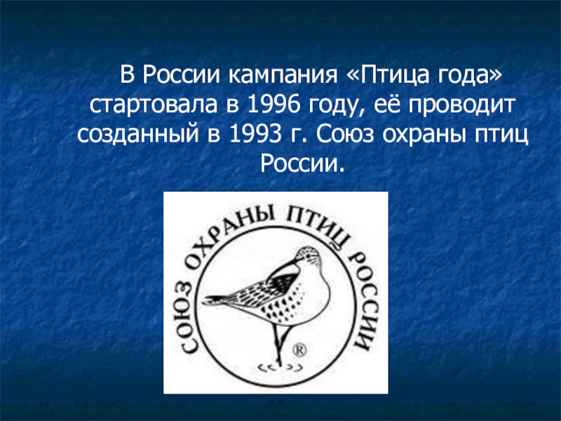 Птица года. 1996 Птица года. Союз охраны птиц России. Птицы года с 1996 года. Птицы года в России.