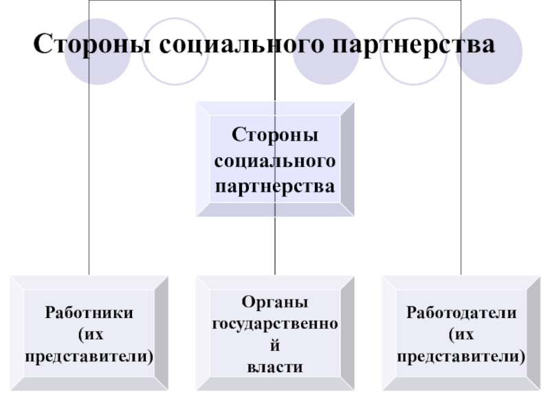 Стороны социального партнерства