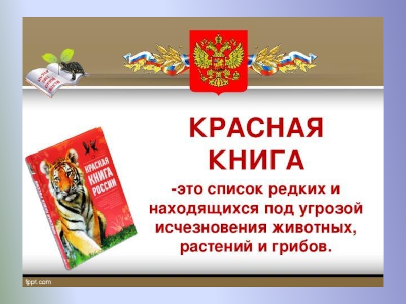 Красная книга курганской области растения и животные презентация