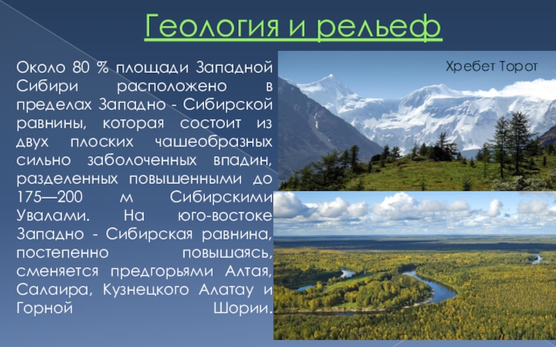 Реферат: Западно-Сибирская тайга