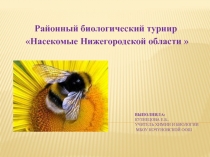 Презентация по биологии на тему Насекомые Нижегородской области (7 класс)