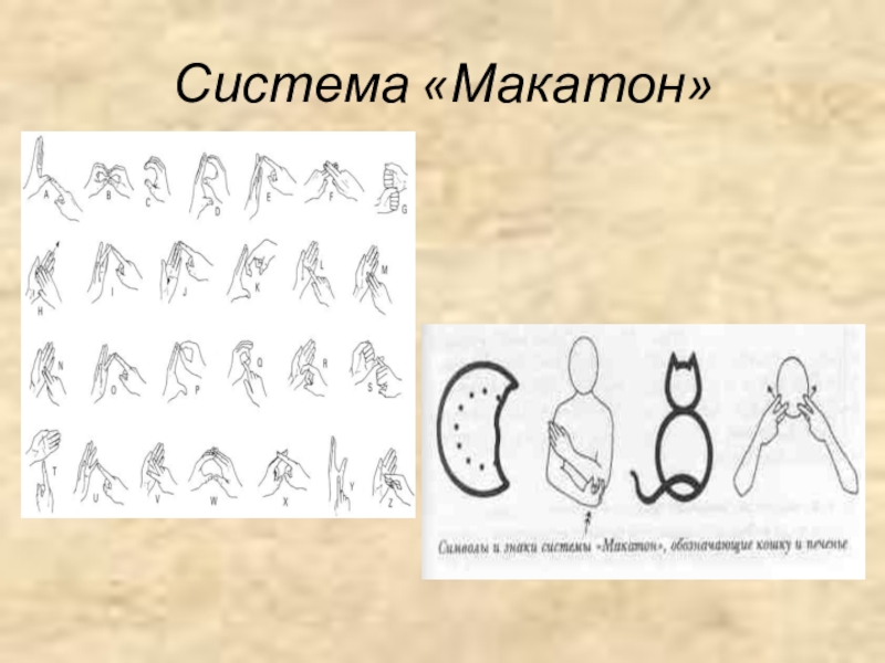 Макатон. Макатон система альтернативной и дополнительной коммуникации. ЦЛП Макатон. Языковая система Макатон. Макатон методика.