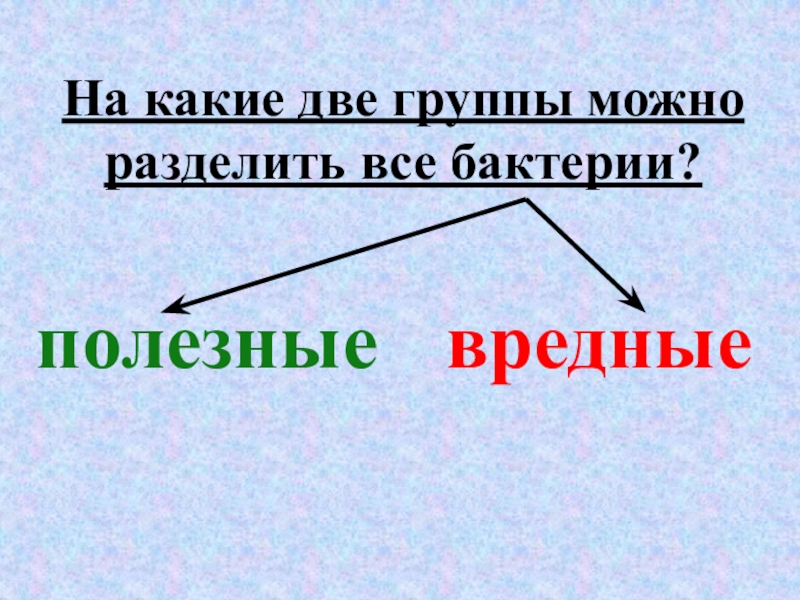 Какие 2 последние