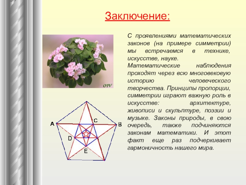 Заключение проекта по математике