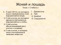 Актуализация знаний на уроках биологии