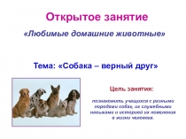 Презентация Собака- верный друг