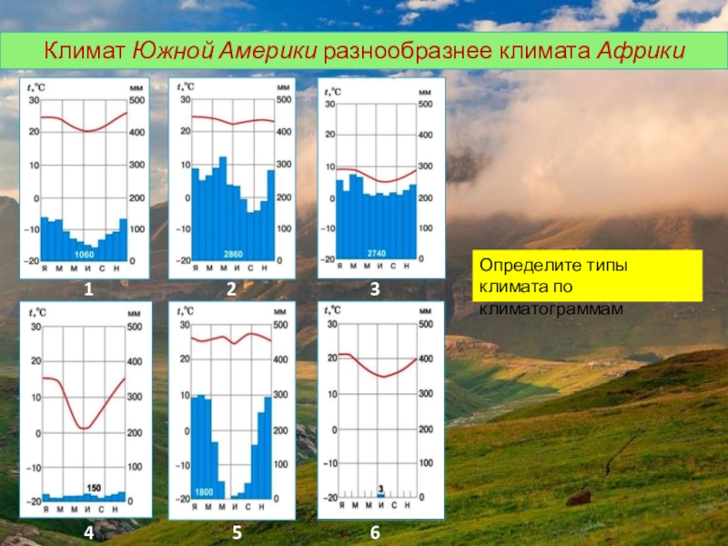 Климатограммы 2. Климатограммы поясов Южной Америки климатические пояса. Климатограммы климатических поясов Южной Америки 7 класс. Климатограммы климатических поясов 614мм. Климатограммы поясов географии 7 класс Южная Америка.