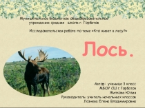Презентация к исследовательской работе Кто живет в лесу? Лось.