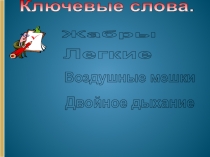 Презентация по биологии на тему: Дыхание позвоночных (6 класс)