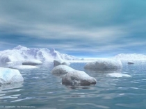 Презентация по окружающему миру на тему Суровая Арктика.