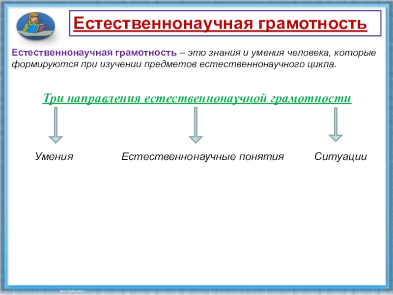 Рабочая программа естественно научная грамотность