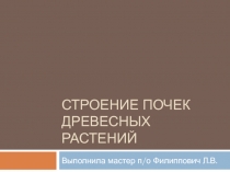 Презентация по учебной дисциплине Технология выращивания древесных растений Строение почек древесных растений