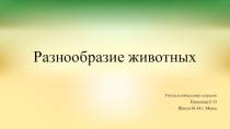 Презентация по окружающему миру на тему Разнообразие животных (2 класс)