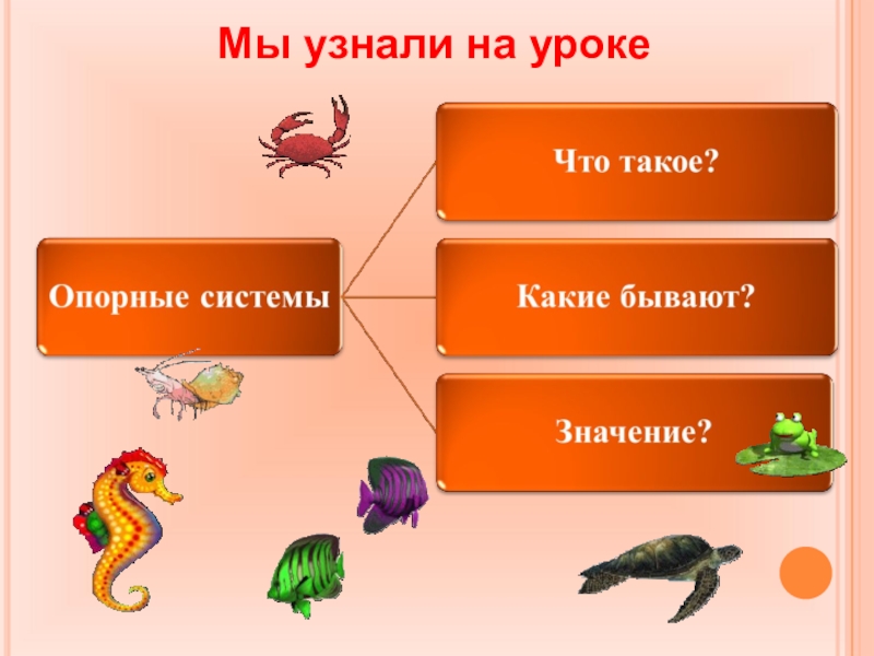 Скелет опора организма 6 класс биология презентация