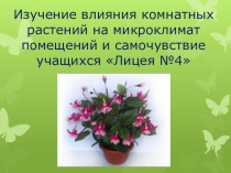 Презентация по экологии Изучение влияния комнатных растений на микроклимат помещений и самочувствие учащихся Лицея №4