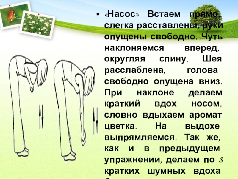 Встань прямо. Наклонилась сзади. Чуть нагнулась спереди. Лепестки наклонившись немножко. Почка немного наклонена вперед.