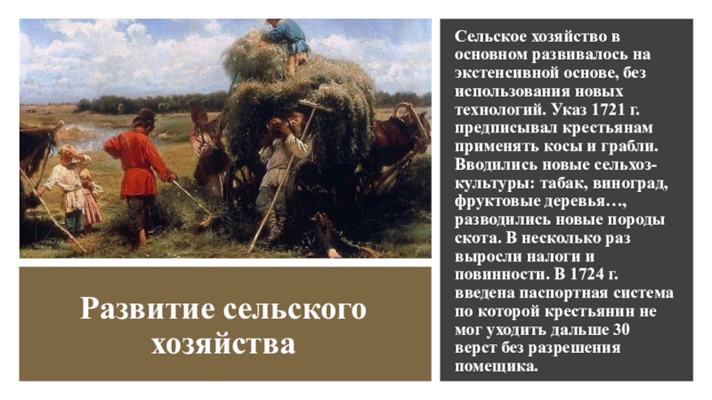 Как развивалось сельское. Сельское хозяйство при Петре 1. Крестьяне 1721. Развитие сельского хозяйства при Петре 1. Крестьяне при Петре 1 косы.